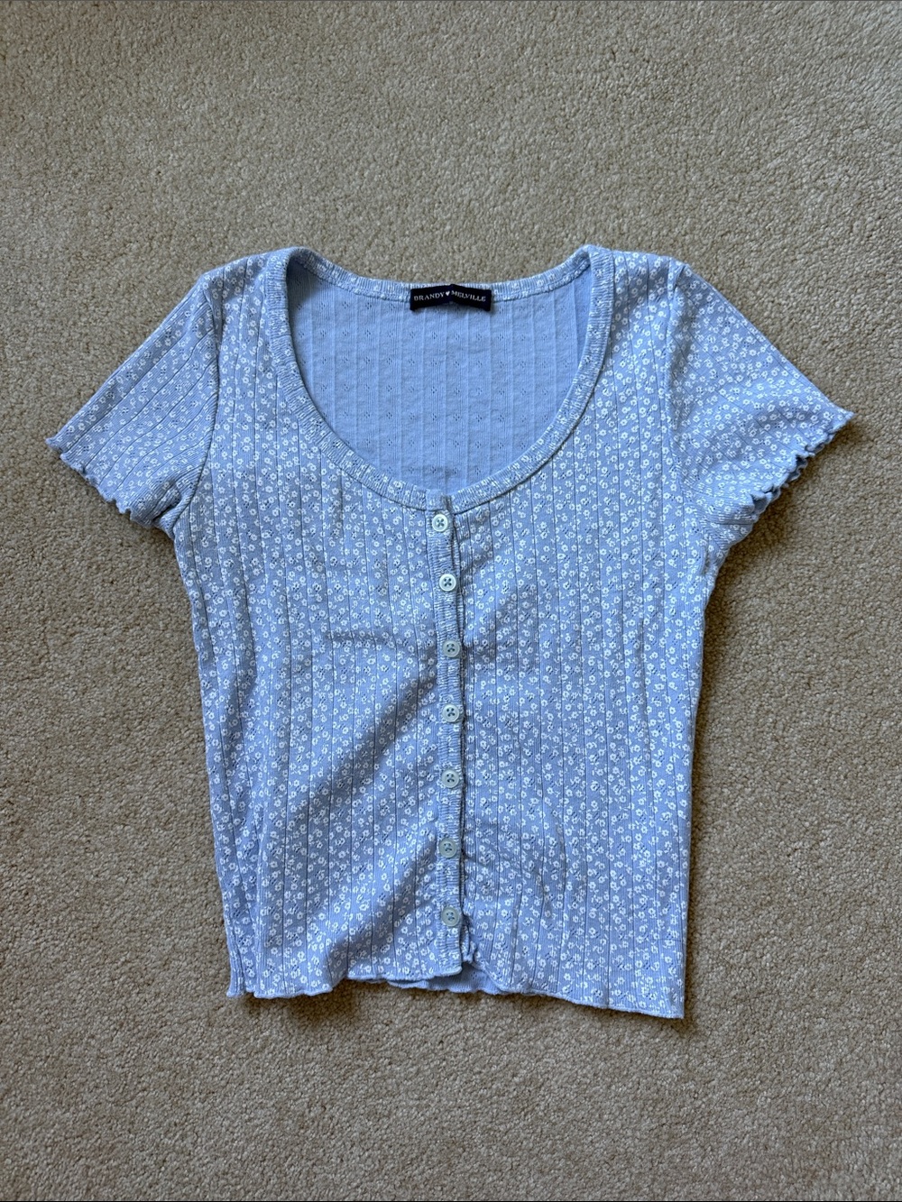 Brandy Melville Light Blue Floral Button Front Scoop Top